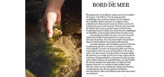 Terre Mère - Sarah Mainguy 