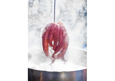 La Cuisine Du Portugal avec Amour 