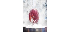La Cuisine Du Portugal avec Amour 