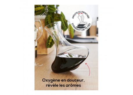 Wine Service Coffret Dégustation Vin Carafe+Sommelier+Billes Nettoyant