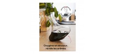 Wine Service Coffret Dégustation Vin Carafe+Sommelier+Billes Nettoyant