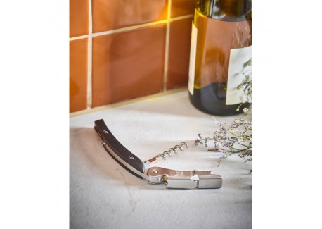 Wine Service Coffret Dégustation Vin Carafe+Sommelier+Billes Nettoyant