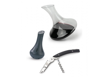 Wine Service Coffret Dégustation Vin Carafe+Sommelier+Billes Nettoyant