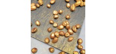 Déco Gâteau Noisettes Entières Comestibles Dorées 50g 