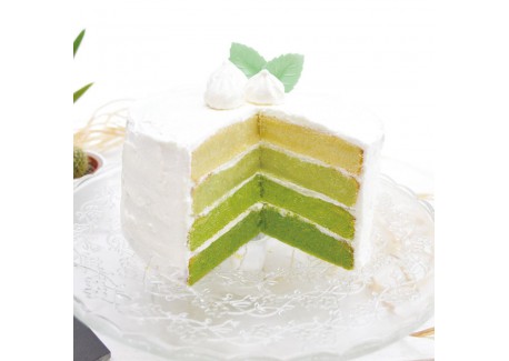 Colorant Alimentaire en Poudre Vert (ou Vert Prairie) 5 g