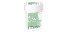 Colorant Alimentaire en Poudre Vert D'Eau 5 g