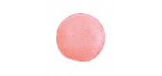 Colorant Alimentaire en Poudre Rose Poudré 5 g