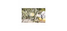 Vivid Senses Glazen voor Fruitige en Verfijnde Wijnen(witte/rode) en W