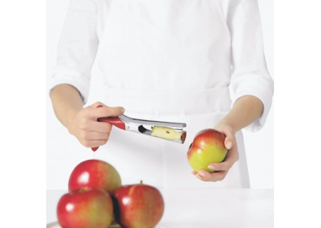 Vide Pomme Inox à Levier 18 cm 
