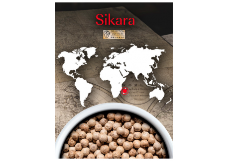 Sikara Witte Peper Versheidszakjes 3x20g