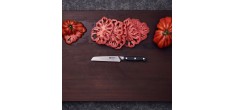Pro Couteau Universel Cranté 13 cm 