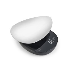 Petite Balance de Cuisine Haute Précision 500g/0.1g avec Plateau Inox