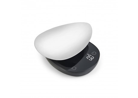 Petite Balance de Cuisine Haute Précision 500g/0.1g avec Plateau Inox