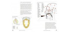 Sobrelier - Guide pour Faire du Jamais Bu