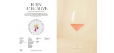 Sobrelier - Guide pour Faire du Jamais Bu 
