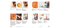 Sobrelier - Guide pour Faire du Jamais Bu 