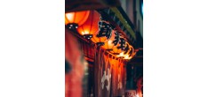Street Food Japonaise - Kyushu