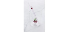 Kers Set Glas 300 ml + Herbruikbare Glazen Drinkrietje