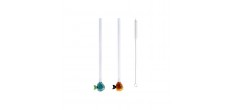 Pailles Réutilisables en Verre Motif Petit Poisson 2 pcs 20 cm + Goupi