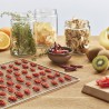 Zie dia Smart Food RVS Droogoven 8 Lagen met Timer EP5800