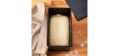 Bread Buddies Moule à Pain de Mie avec Couvercle Acier Antiadhésif 21x