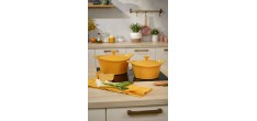 Incroyable Antikleef Braadpan 28 cm Mango geel 7 l Limited Edition