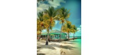 Street Food Antillaise - Martinique