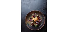 Bols Gastronomiques Automne - Hiver