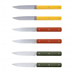 9.47 Coffret Couteaux de Table Jaune Mimosa Terre Battue Vert Fougère