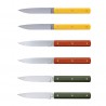 Voir la slide 9.47 Coffret Couteaux de Table Jaune Mimosa Terre Battue Vert Fougère