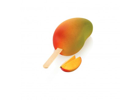 Gel20 Mango Kit Moule 3D 12 Glaces Magnums Mangue Plateau et 50 Batonn
