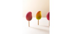 Gel20 Mango 3D 12 Ijsvorm Magnum 50 ijslollystokjes