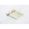 Voir la slide Pailles Réutilisables Colorées en Verre Motif Fruits 6 pcs + Goupillon