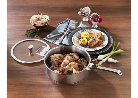Casteline 5 Glazende RVS Kookpot 20 cm 3,2 L Verwijderbare Handvatten