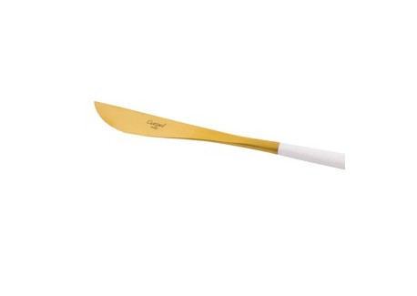 Goa Set Couverts 24 pcs Or Brossé Manche Blanc + Coffret en Bois