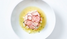 Ceviche de daurade, jus de fenouil