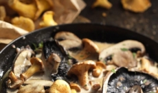 Poêlée de champignons des bois à la crème