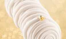 Buche de Noël poire, vanille et spéculoos