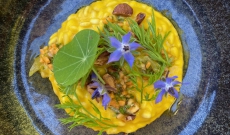 Orge perlé crémeux à la carotte et sauce vierge aux agrumes