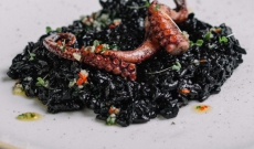 Risotto à l'encre de seiche, coulis de persil et poulpe grillé