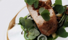 Ris de veau en mijoté moderne sur des noix et mousseline de pommes de terre