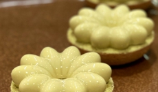 Tartelettes Bloom Citron et Pistache