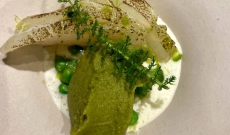 Skrei cuit à la flamme, sauce perlée livèche et basilic, sorbet roquette