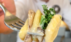 Orecchiette champignons, chou kale et miso