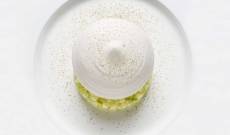 Pavlova Pomme Verte, Parfum de Gingembre